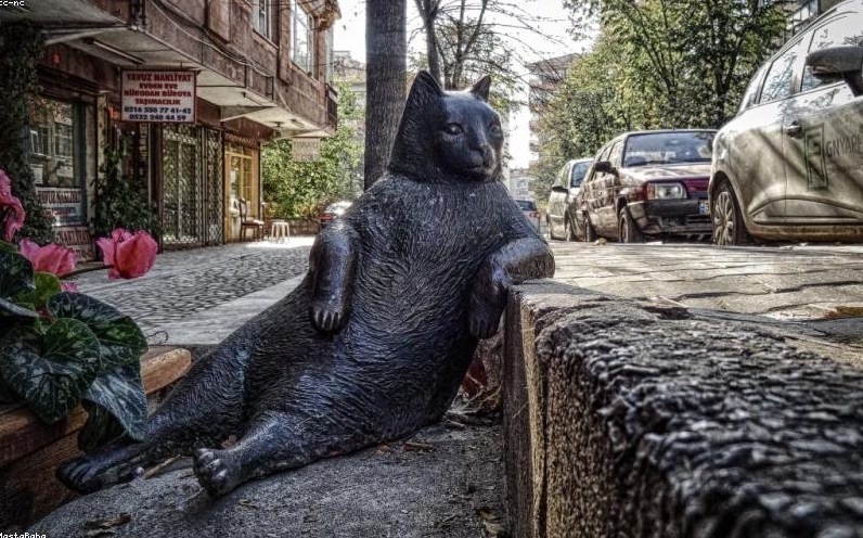 2026年3月,宁德时代车间里那台停转的固态电池涂布机,正在直播拆解