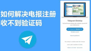 纸飞机账号购买1：探索便捷获取途径开启全新交流体验