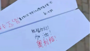 纸飞机注销网站：背后故事、影响及那些不得不说的告别