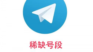 警惕！电报账号共享背后可能隐藏的风险与危害