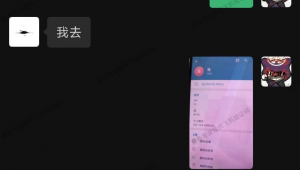纸飞机登陆遇难题：收不到验证码，该如何解决？