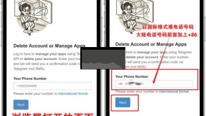 手机上如何注销纸飞机账号？详细步骤大揭秘