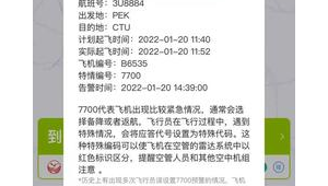 飞机号注册流程全解析：轻松几步开启飞行之旅新征程